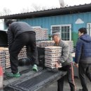 김영식농장 이미지