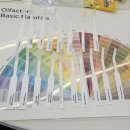 캔들웍스하우스 이미지