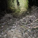 용산4리 이미지