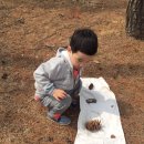 양곡어린이집 이미지