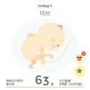 우노실리콘