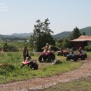 제주랜드 이미지