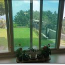 완월동136 이미지