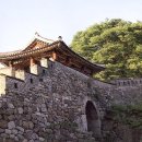 메밀로43 이미지