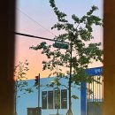 라라PC | [평택/고덕 신도시] 분위기 좋고 안주 기가 막히게 맛있는 이자카야 신상 술집 “시선” 후기