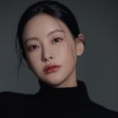 다해준컴퍼니 이미지