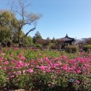 오일시장(축협하나로마트) 이미지