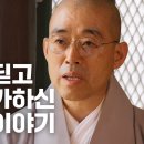 혈액암을 딛고 일어나 출가하신 동은스님 이야기! 이미지