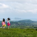 바람불어 좋은 날 이미지