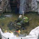 옥담사우나 이미지