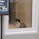 화목종합동물병원 이미지