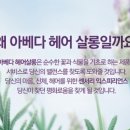 져니헤어 네이버블로그