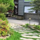 큰나무집 이미지