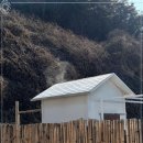 베시두즈 이미지