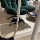 크린피부과의원 이미지