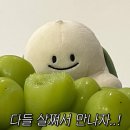육교콩나물해장국 | ’25-4Q| 이 연휴..이 날씨..이 즐거움이 끝나지 않았으면...