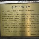 응아지 나루 이미지