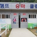 세계승마클럽 이미지