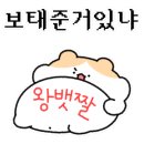 미츠카츠