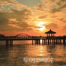 호수와 바다 Daum카페