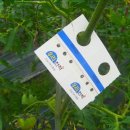 흙사랑 농장 이미지