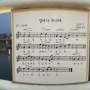 남평구교 이미지