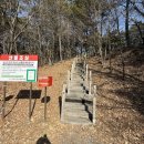 사랑나무 | [부여 여행] 태안으로 가는 길에 만난 낭만, 부여 성흥산 사랑나무 (가림성) 방문 후기 🌳❤️