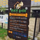 금곡동반려견놀이터 이미지