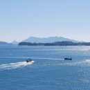 고흥사랑약국 이미지