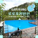 로로포레 - 6796 | 로로포레