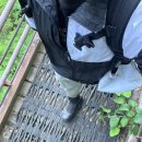 힐빙스토리자동차야영장 | 초보 뚜벅이의 소백산 [희방 → 비로봉 → 삼가동] 탐방기