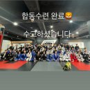 팀혼주짓수