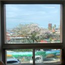 7204 | 제주 수풀 Supul | 향기 좋은 제주 서쪽 소품샵 스토어 Arbor향 룸스프레이 구매후기