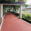 일원장미공원 화장실 네이버블로그