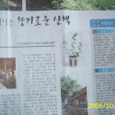 허브네 Daum카페