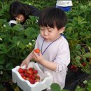 부여 서울농장 이미지