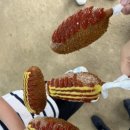 두물머리 | 양평 두물머리 나들이 후기 🌿 주차 꿀팁부터 연핫도그까지!