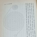 Re: ﻿ ※ 이것은 석류에 물이 들은 理氣作用反相空化論 ​ 이미지