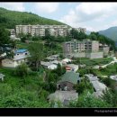 고한여자고등학교 이미지