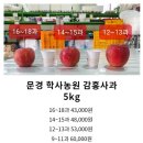 (주)황금사과