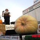 호박스포츠 이미지