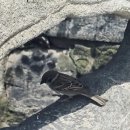 여백에 앉다 - 김선영 이미지