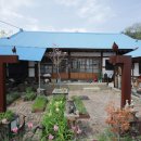 생각나무자연학교 이미지