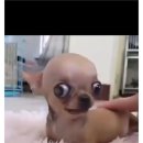 왓치 | 어제 오늘 시험 후기 들고왓치와