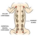 사직동물의료센터 이미지