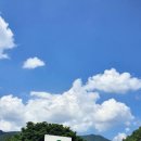 무학(아) 이미지