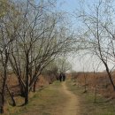 삼락강변공원 이미지