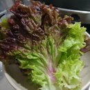 신월동111 | 나만 알고싶은 까치산역 신월동 원조춘천닭갈비 맛집에서 내돈내산