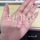 1596 | 젝시템 다이어트약 홍애단(하트알약) 내돈내산 후기 ♥️