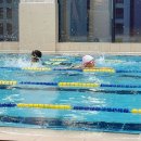 초등 우쿨렐레 1-6학년 이미지